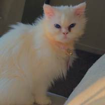 Thumbnail photo of Bernadette #3