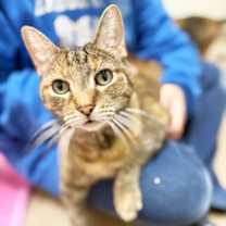 Thumbnail photo of Holly #3