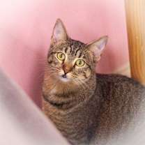 Thumbnail photo of Annabelle #1