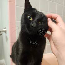 Thumbnail photo of Fergie #1