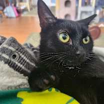 Thumbnail photo of Fergie #3