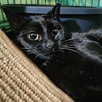 Thumbnail photo of Fergie #4