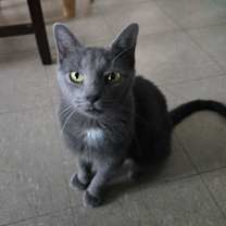 Thumbnail photo of Nicole #2