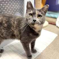 Thumbnail photo of Mona #1