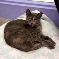 Thumbnail photo of Mona #3