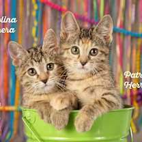 Thumbnail photo of Carolina Herrera #1