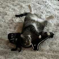 Thumbnail photo of Pete #2