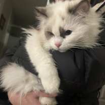 Thumbnail photo of Mina #1