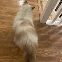 Thumbnail photo of Mina #2