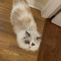 Thumbnail photo of Mina #3