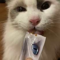 Thumbnail photo of Mina #4