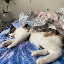 Thumbnail photo of Miley #4