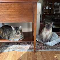 Thumbnail photo of Lea & Bella **Courtesy Post** #1