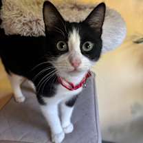 Thumbnail photo of Samuel #1