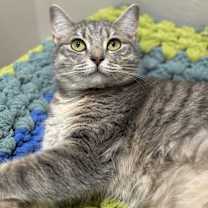 Thumbnail photo of Krambo #4