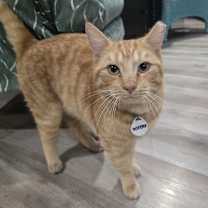 Thumbnail photo of Winston 3 #2