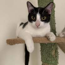 Thumbnail photo of Jessie 2 #4