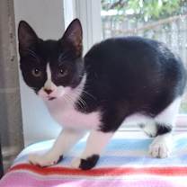 Thumbnail photo of Moana 112625 #1