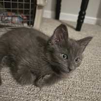 Thumbnail photo of Snack Mix #1