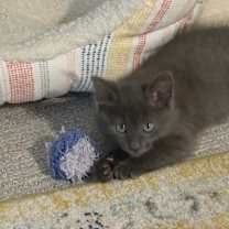 Thumbnail photo of Snack Mix #2