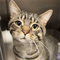 Thumbnail photo of Apex #2