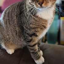 Thumbnail photo of Big Boy 8898 #1