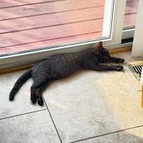 Thumbnail photo of Reese #4