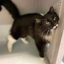 Thumbnail photo of Eclipse #2