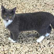 Thumbnail photo of Jingle #3