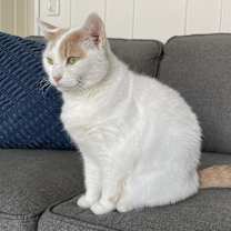 Thumbnail photo of Luna #1