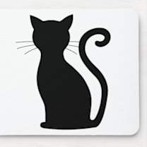 Thumbnail photo of Cream #2