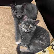 Thumbnail photo of MM Hector and Hazel #1