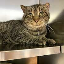 Thumbnail photo of Flash #4