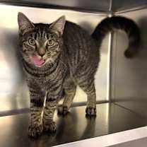 Thumbnail photo of Vivi #1