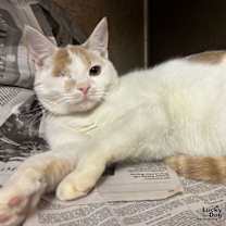 Thumbnail photo of Lee #2