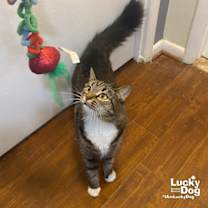 Thumbnail photo of Claribel #1