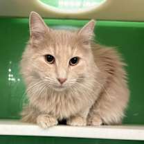 Thumbnail photo of Bob Marley #1