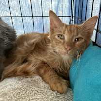 Thumbnail photo of Harrison #1