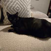 Thumbnail photo of Esmeralda #2