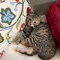 Thumbnail photo of MM Sasha #1