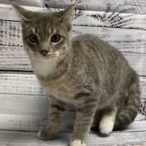 Thumbnail photo of Lith Blue Condo 8/31/25 #1