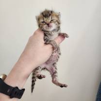 Thumbnail photo of Drunk Uncle #2