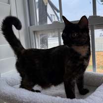 Thumbnail photo of Bear #4