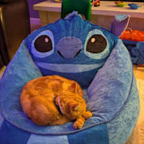 Thumbnail photo of Sherbs #4