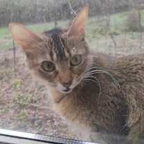 Thumbnail photo of Jazmine #1