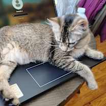 Thumbnail photo of Jazmine #2