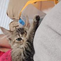 Thumbnail photo of Jazmine #3