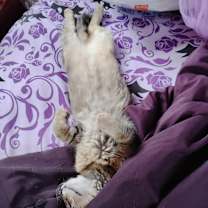 Thumbnail photo of Jazmine #4