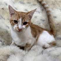 Thumbnail photo of Luke #2