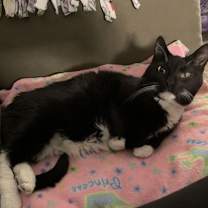 Thumbnail photo of Vince #2